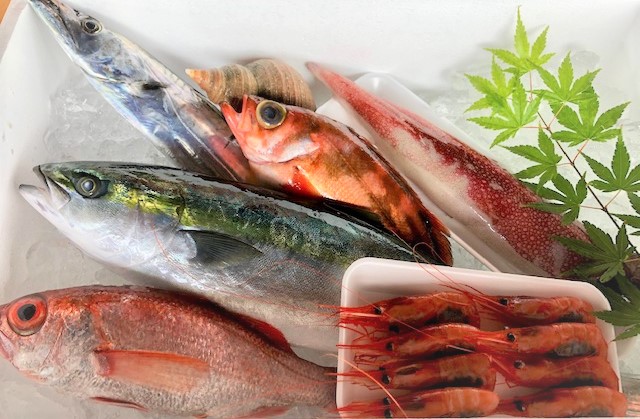 黒部漁港「とれたて鮮魚セット」3~5種