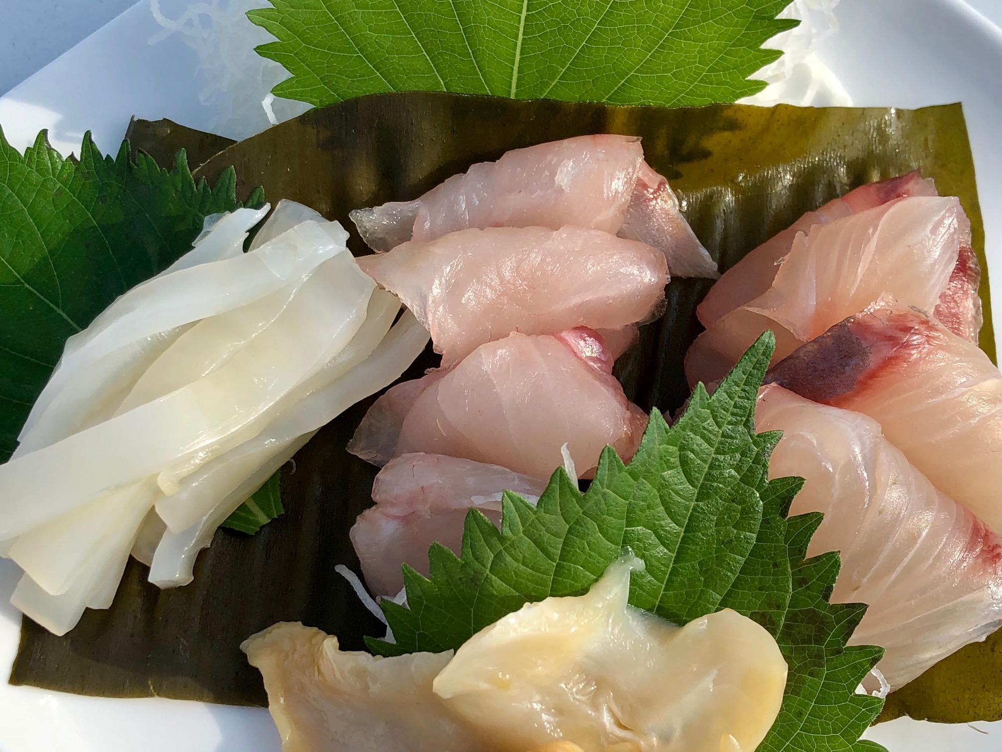 【2度おいしい！】とれたて鮮魚(丸のまま)2種セット　【昆布〆用昆布付】