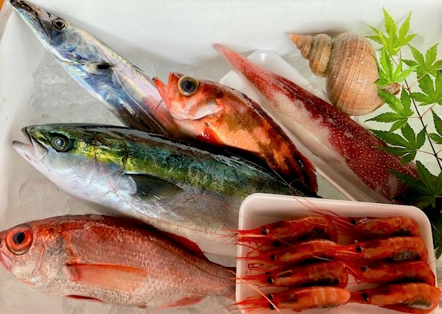 富山湾黒部漁港朝どれ直送便『鮮魚BOX』
