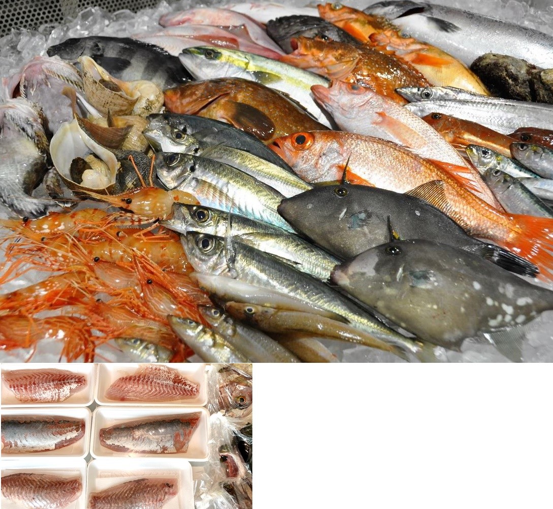さばいてお届け！とれたて鮮魚セット　3～５種