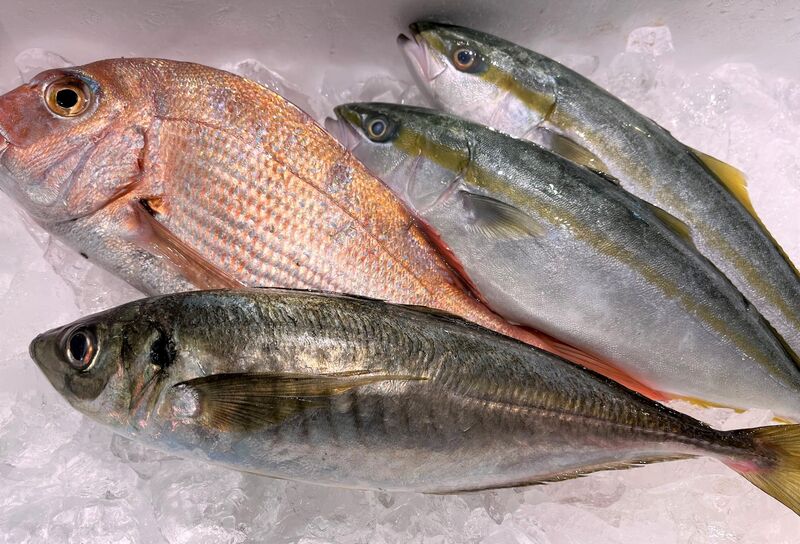家族でお楽しみセット！鮮魚（刺身、昆布〆用）・かに丼・お菓子・ガチャ