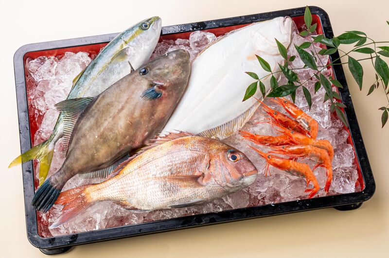 富山湾黒部漁港「とれたて鮮魚」と「魚に合うビール（イクジのエール）」のセット