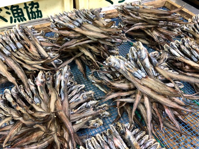 ＊珍味＊幻魚（げんげ）干物