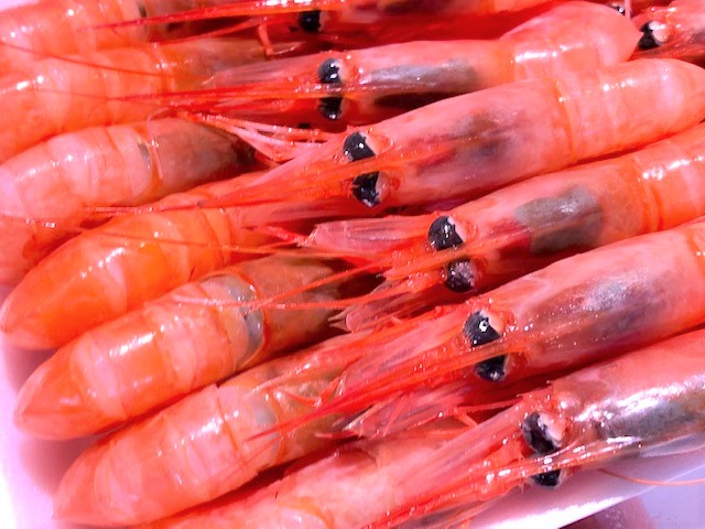 刺身用　「甘えび」　20匹
