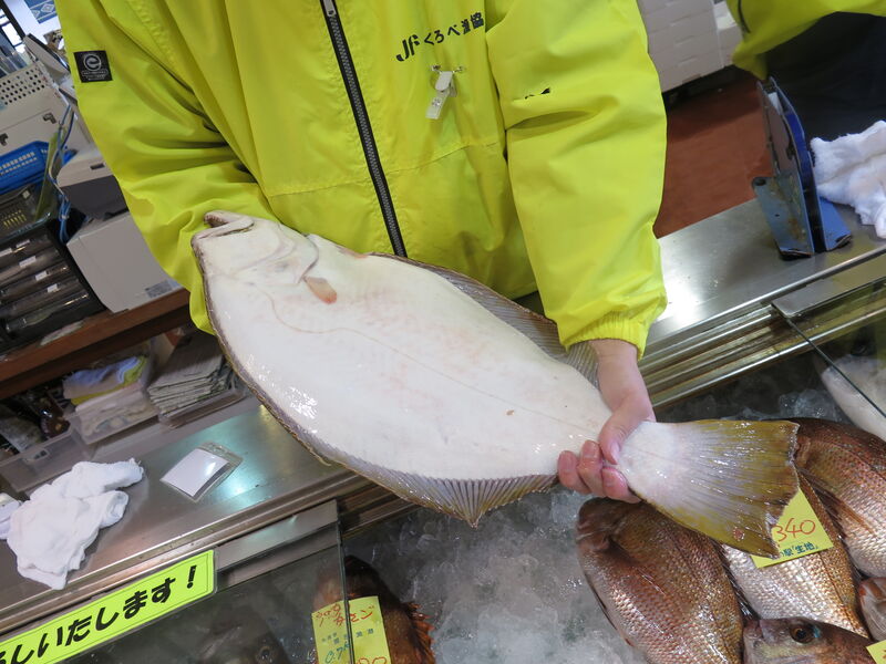 富山の伝統 『ひらめ昆布〆』 おいしさギュっと!!